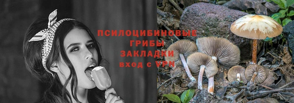 СК Алзамай