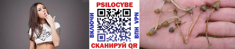 Галлюциногенные грибы мицелий Шумерля