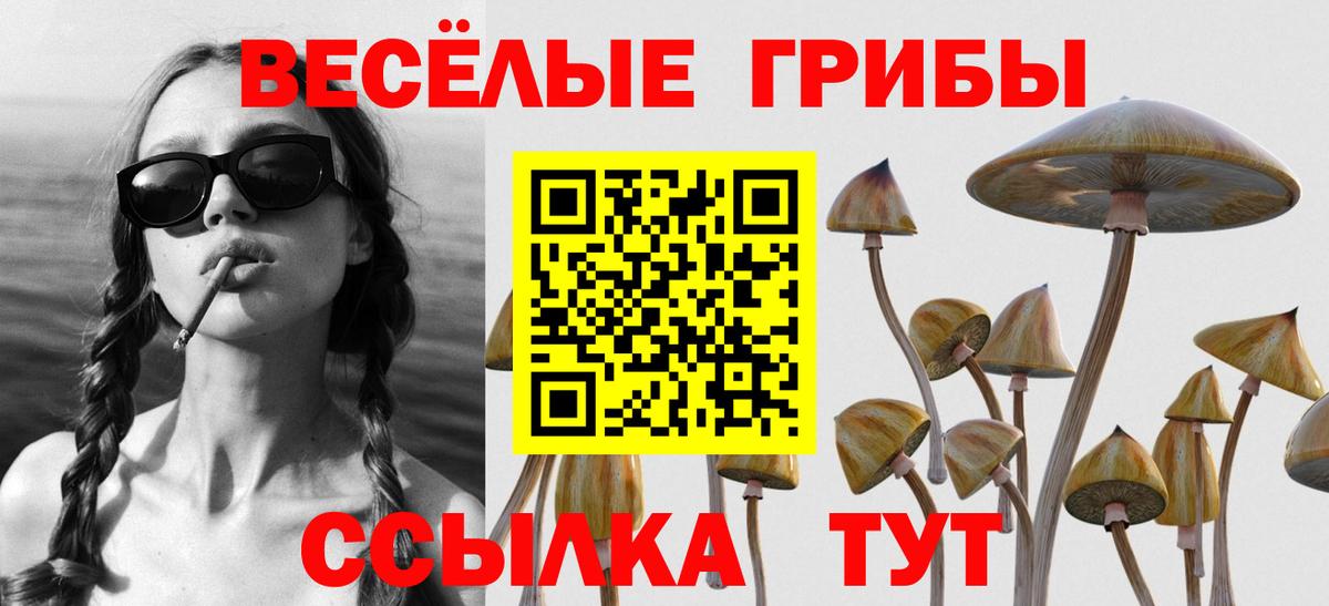 Псилоцибиновые грибы MAGIC MUSHROOMS  Вход с VPN  Шумерля 