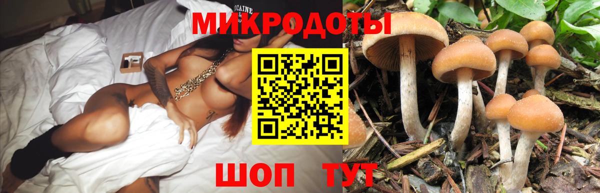 Галлюциногенные грибы прущие грибы Шумерля